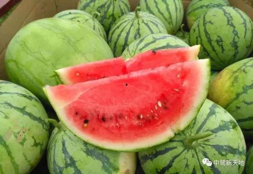 今日网红吃瓜猛料图片大全,海量猛料图片大揭秘