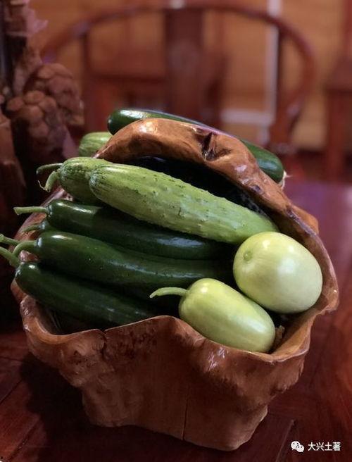 网红吃瓜.com,揭秘娱乐圈幕后故事，带你领略网络红人世界